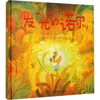 音像发光的诺尔(比)伊安·德·艾斯
