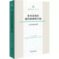 音像资本语境在现代欧洲的兴起 以文学史为线索叶隽 主编