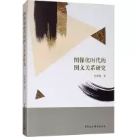 音像图像化时代的图文关系研究李烨鑫