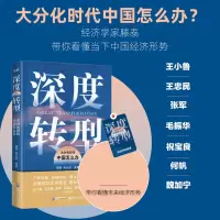 音像深度转型:大分化时代中国怎么办滕泰朱长征