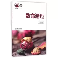 音像致命邂逅/女警手记边宪华