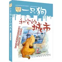 音像一只狗和它的城市常新港