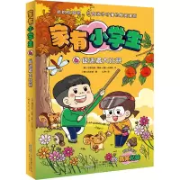 音像家有小学生 6 捉迷藏大比拼(韩)兄妹,(韩)白南道