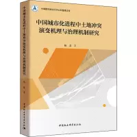 音像中国城市化进程中土地演变机理与治理机制研究杨磊
