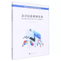音像会计信息系统实务刘燕,康乐