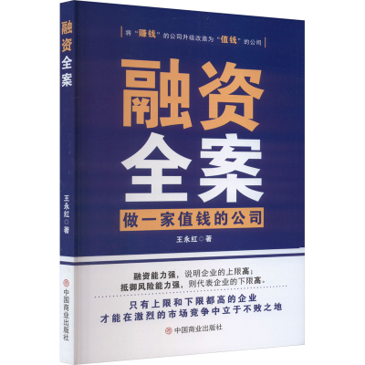 音像融资全案 做一家值钱的公司王永红