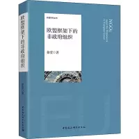 音像欧盟框架下的非组织徐莹