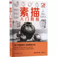 音像素描入门教程杨建飞