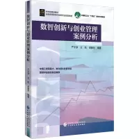 音像数智创新与创业管理案例分析严子淳、王凯、梁馨月