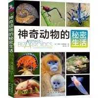 音像动物的秘密生活(法)玛丽·特莱伯特