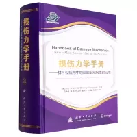 音像损伤力学手册--材料和结构中纳观到宏观尺度的应用(精)