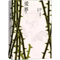 音像爱界(英)费伊·韦尔登(Fay Weldon)