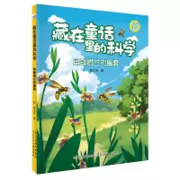 音像角蜂眉兰的圈套陈立凤