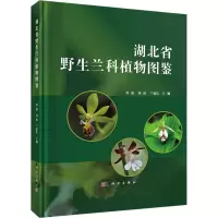 音像湖北省野生兰科植物图鉴覃瑞,刘虹,兰德庆