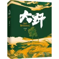 音像大野李凤群