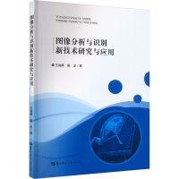 音像图像分析与识别新技术研究与应用王海晖,陈龙