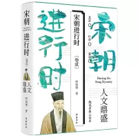 音像宋朝进行时:开创盛世卷野狐狸