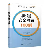 音像班组安全教育100例/班组安全建设100例丛书崔政斌,张美元 著
