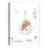 音像小娇妻3洛心辰