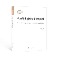 音像供应链多模型鲁棒切换策略张松涛 著