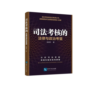 音像司法考核:法律与政治考量张剑文