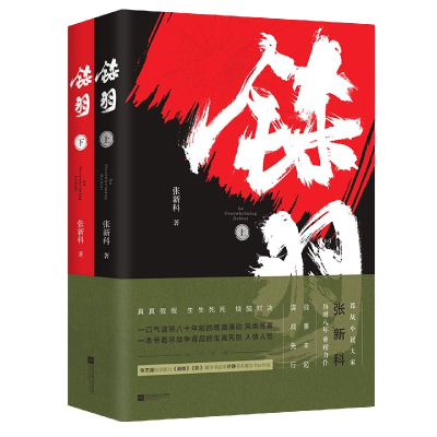 音像铩羽(上下)张新科