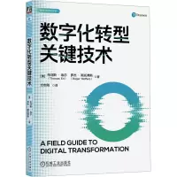 音像数字化转型关键技术(美)托马斯·埃尔,(美)罗杰·斯托弗斯