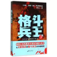 音像格斗兵王(3)野兵 著