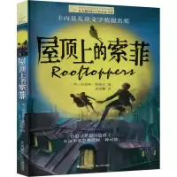 音像屋顶上的索菲(英)凯瑟琳·朗德尔