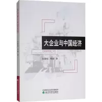 音像大企业与中国经济史修松,刘琼