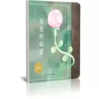音像爸爸的秘密(精)/海豚绘本花园(日)宫崎博和
