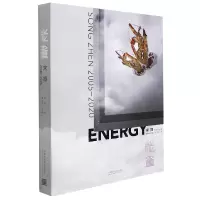 音像能量:宋振2005—2020宋振