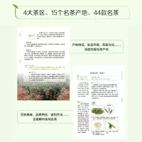 音像探寻中国茶吴建丽 著