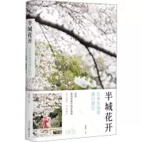音像半城花开 日本东海道骑行游记天天