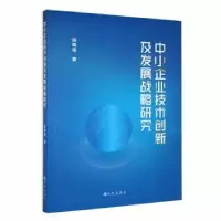 音像中小企业技术创新及发展战略研究田晓佳