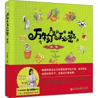 音像食物纸上魔方 编