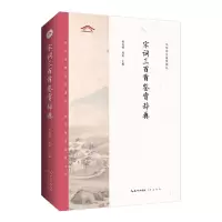 音像中华诗文鉴赏典丛——宋词三百首鉴赏辞典(二版平装)何光顺