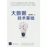 音像大数据技术基础中科普开 著