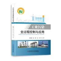 音像工业污染全过程控制与应用曹宏斌 等