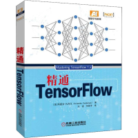 音像精通TensorFlow(美)阿曼多·凡丹戈(Armando Fandango)
