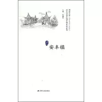 音像历史文化名城名镇名村系列.安丰镇徐耀新 编