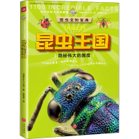 音像昆虫王国印度XACT公司