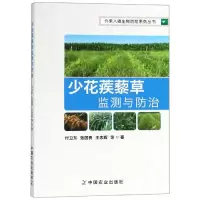 音像少花蒺藜草监测与防治付卫东 张国良 王忠辉 等