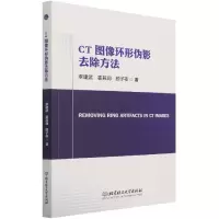 音像CT图像环形伪影去除方法李建武著;霍其润著;颜子夜著
