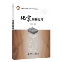 音像地震勘探原理刘淑芬