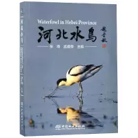 音像河北水鸟张海、孟德荣