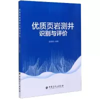 音像优质页岩测井识别与评价赵俊峰编著