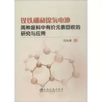 音像钕铁硼和镍氢电池两种废料中有价元素回收的研究与应用邓永春