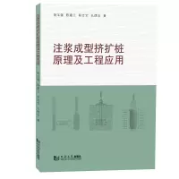 音像注浆成型挤扩桩原理及工程应用胡玉银 等