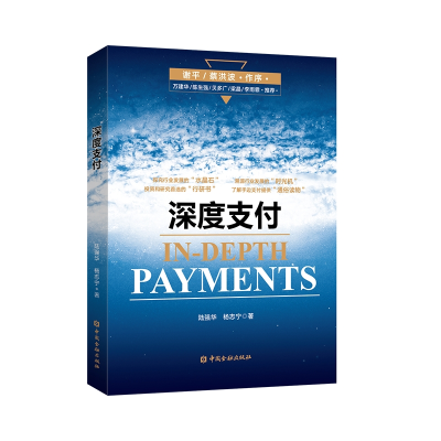 音像深度支付陆强华 杨志宁 著